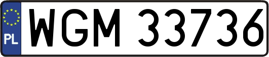 WGM33736