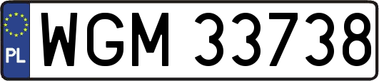 WGM33738