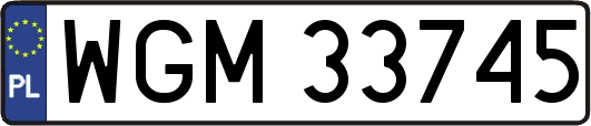 WGM33745