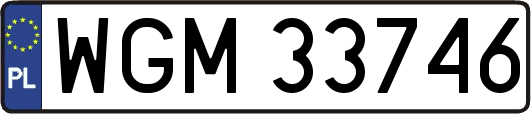 WGM33746