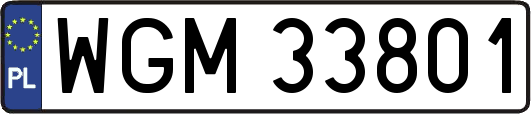 WGM33801