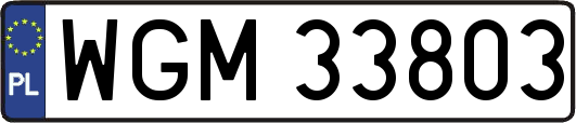 WGM33803