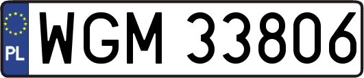 WGM33806