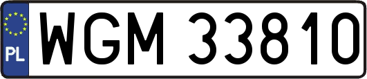 WGM33810