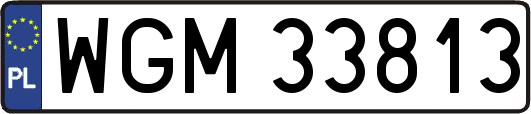 WGM33813