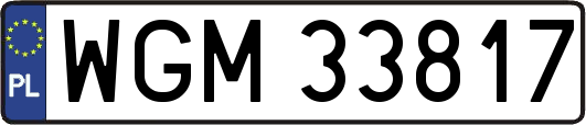 WGM33817