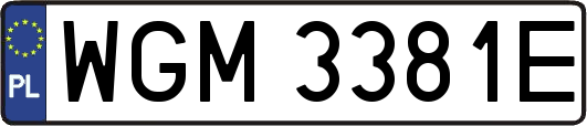 WGM3381E