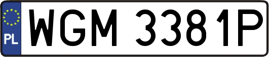 WGM3381P