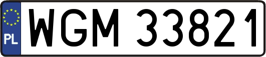 WGM33821