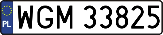 WGM33825