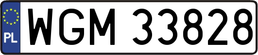 WGM33828