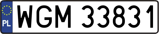 WGM33831