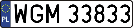 WGM33833