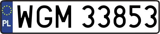 WGM33853