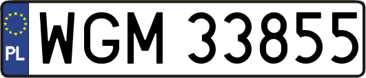 WGM33855