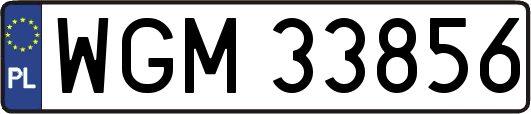 WGM33856