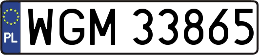 WGM33865
