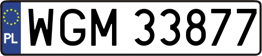 WGM33877