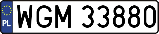 WGM33880