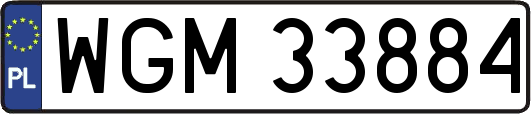 WGM33884