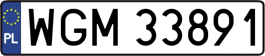 WGM33891