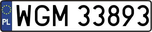 WGM33893