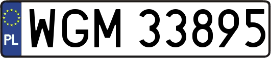 WGM33895