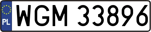 WGM33896