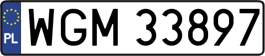 WGM33897