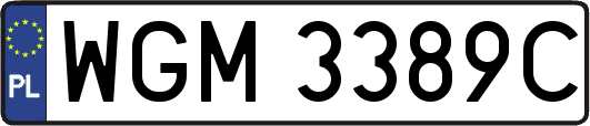 WGM3389C