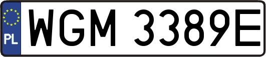 WGM3389E