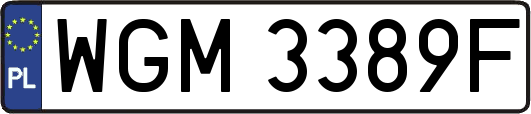 WGM3389F