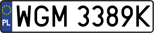 WGM3389K