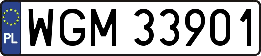 WGM33901