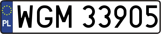 WGM33905