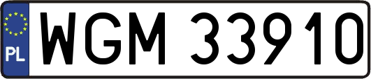 WGM33910