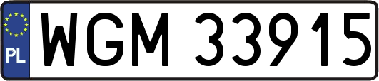 WGM33915