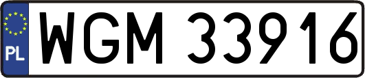WGM33916