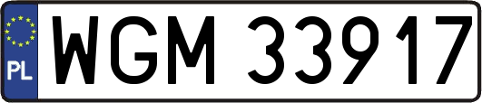 WGM33917