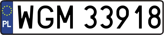 WGM33918