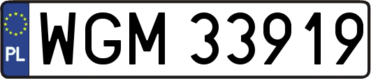 WGM33919