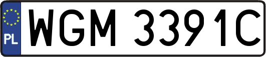 WGM3391C