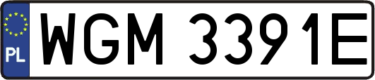 WGM3391E