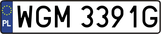 WGM3391G