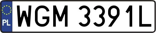 WGM3391L