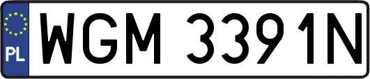 WGM3391N
