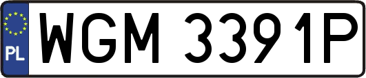 WGM3391P