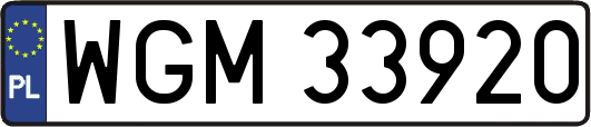 WGM33920