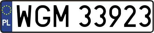 WGM33923