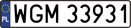 WGM33931